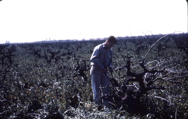 Historical photo of farm expansion